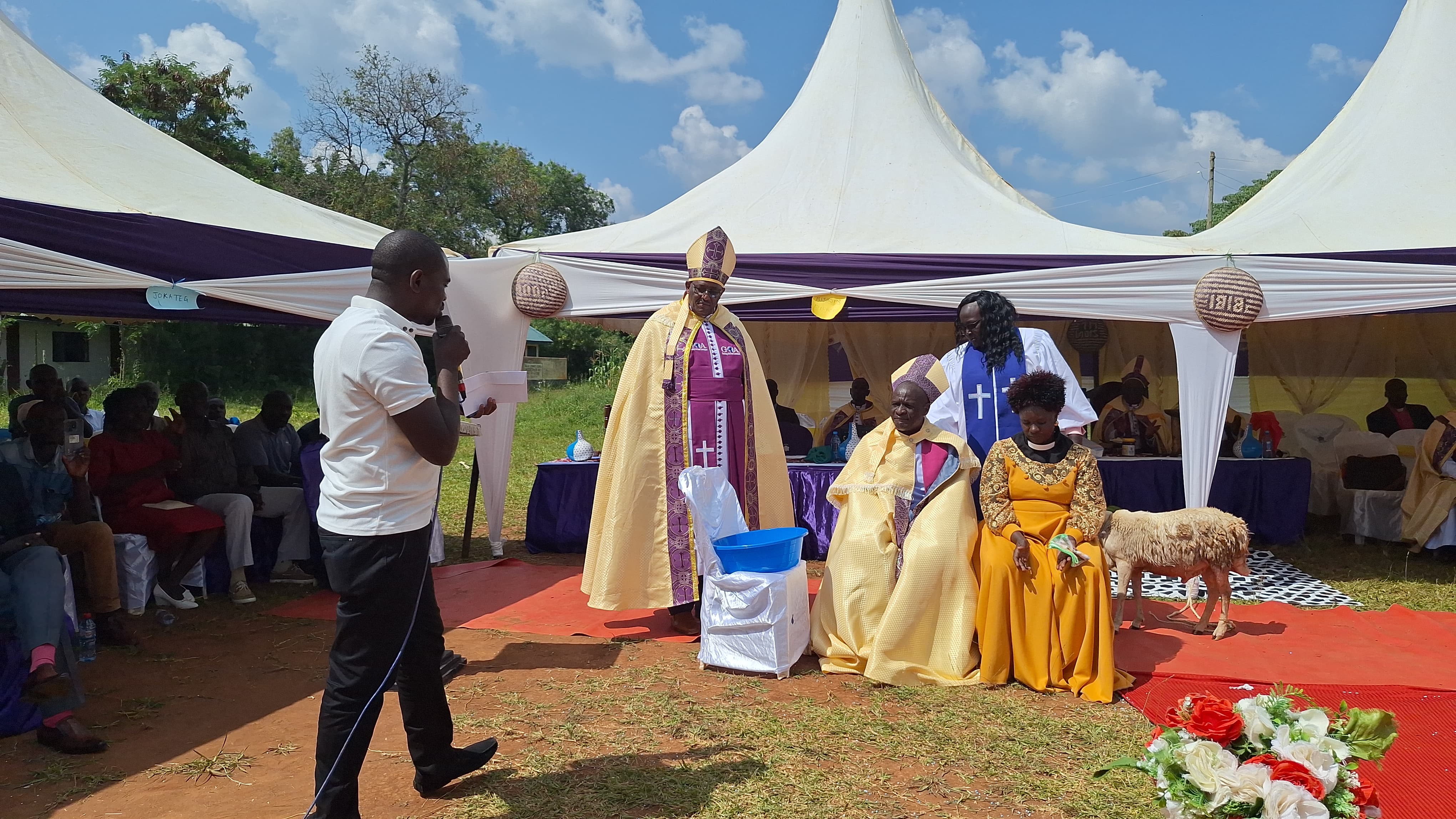 New Apartment Nice View